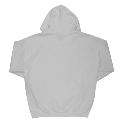 A Retrospective Hoodie